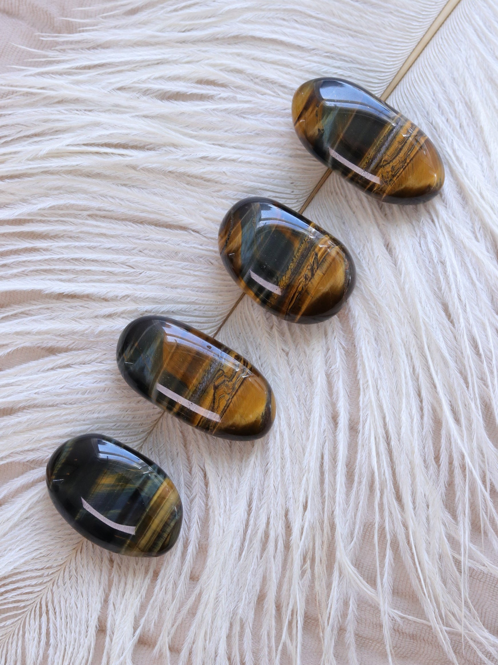 Tigers Eye