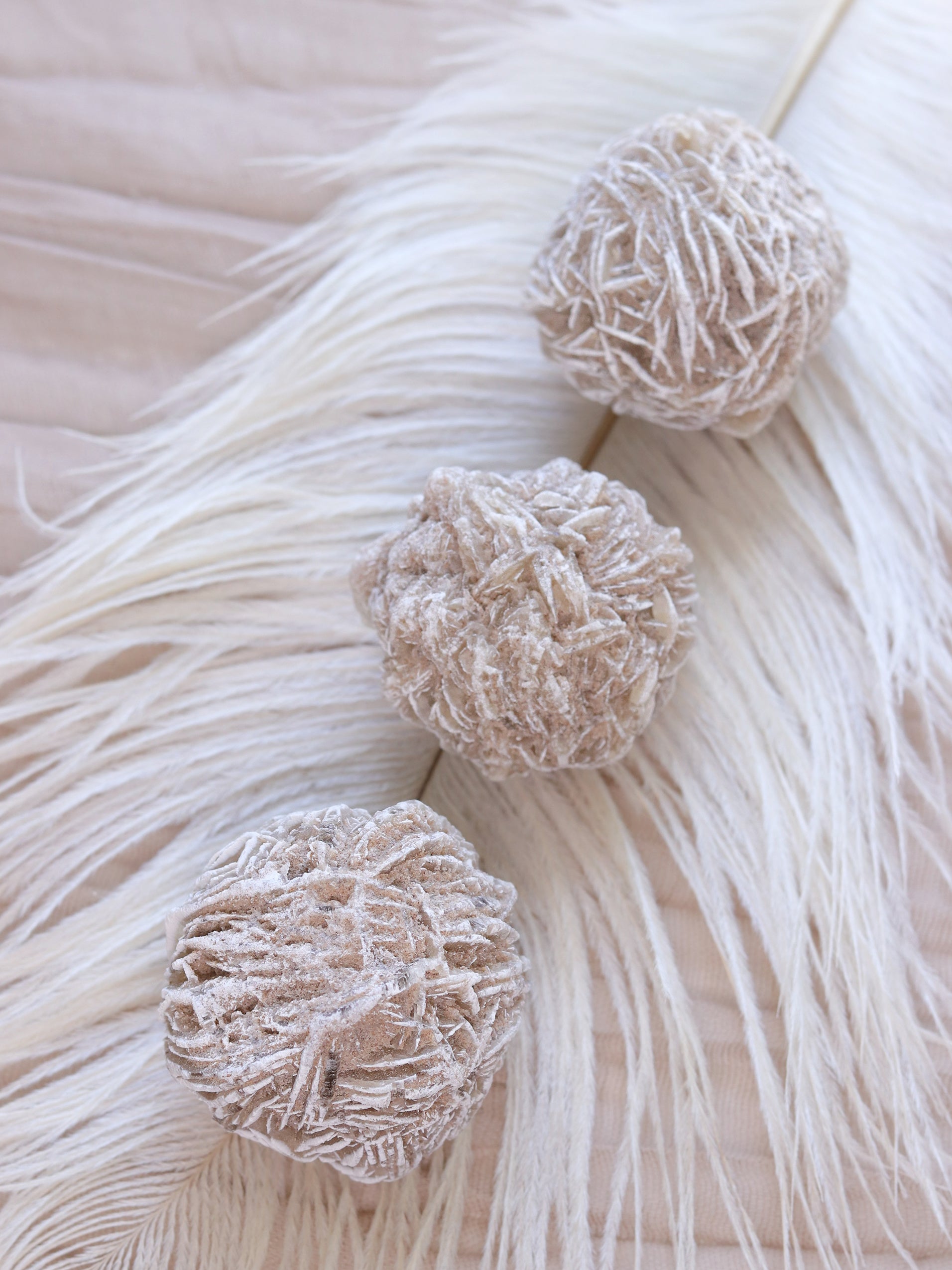 Desert Rose Selenite