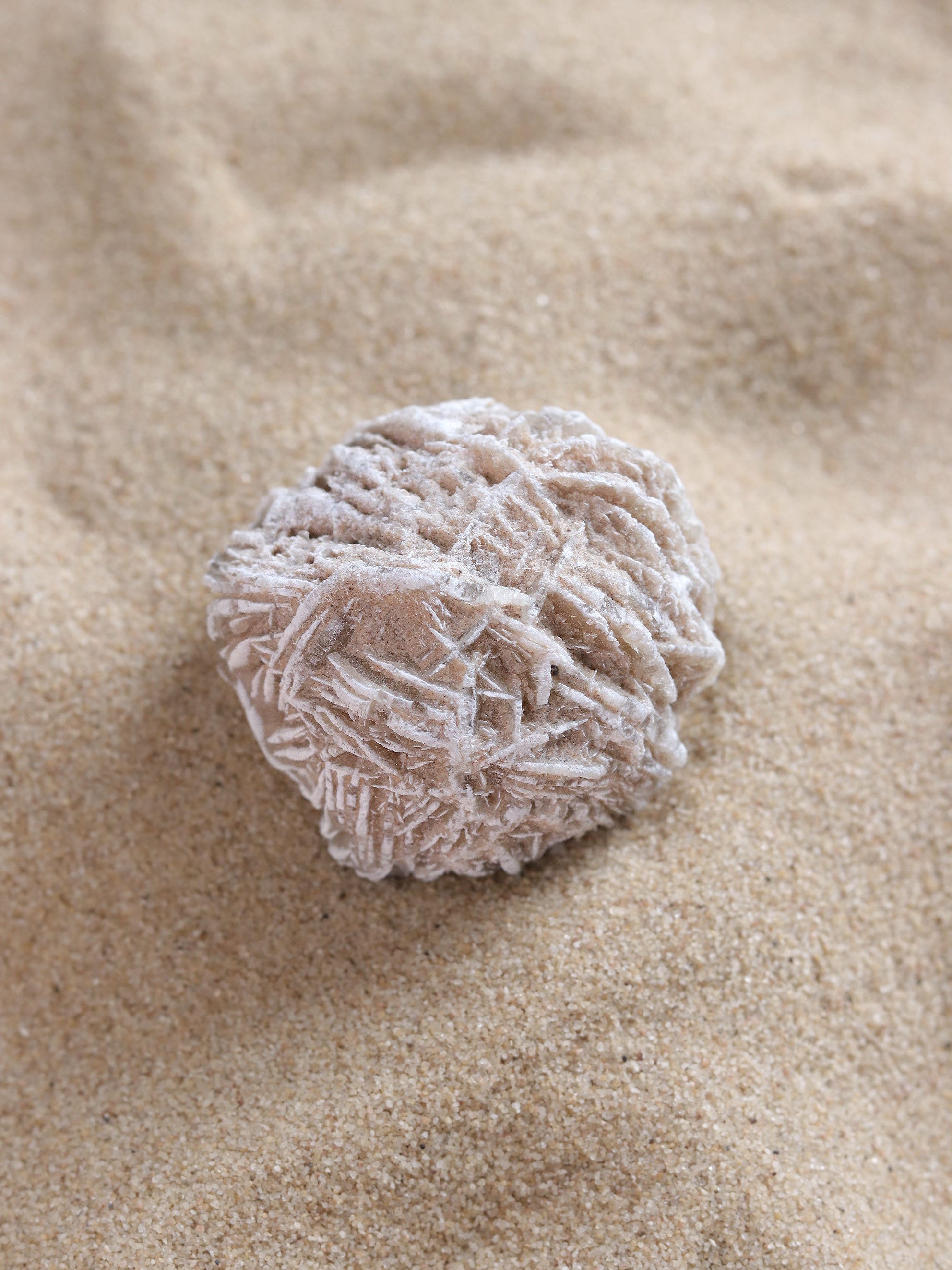 Desert Rose Selenite