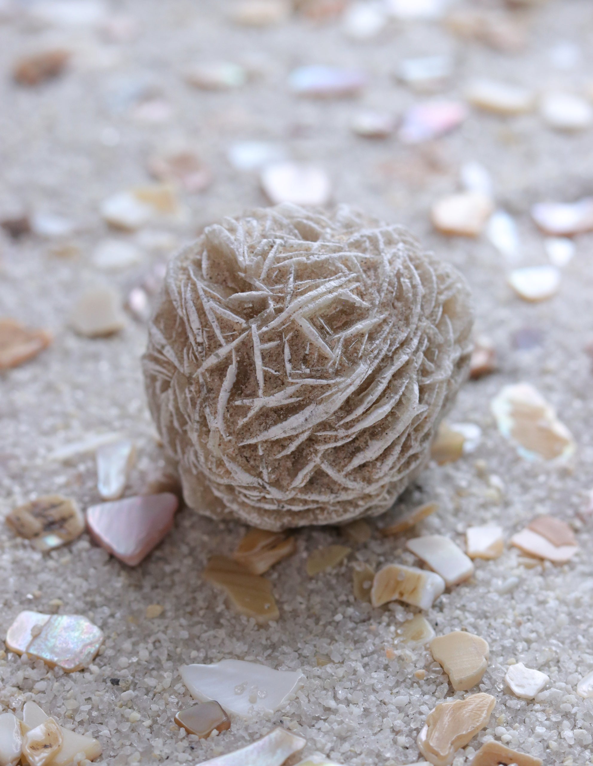 Desert Rose Selenite