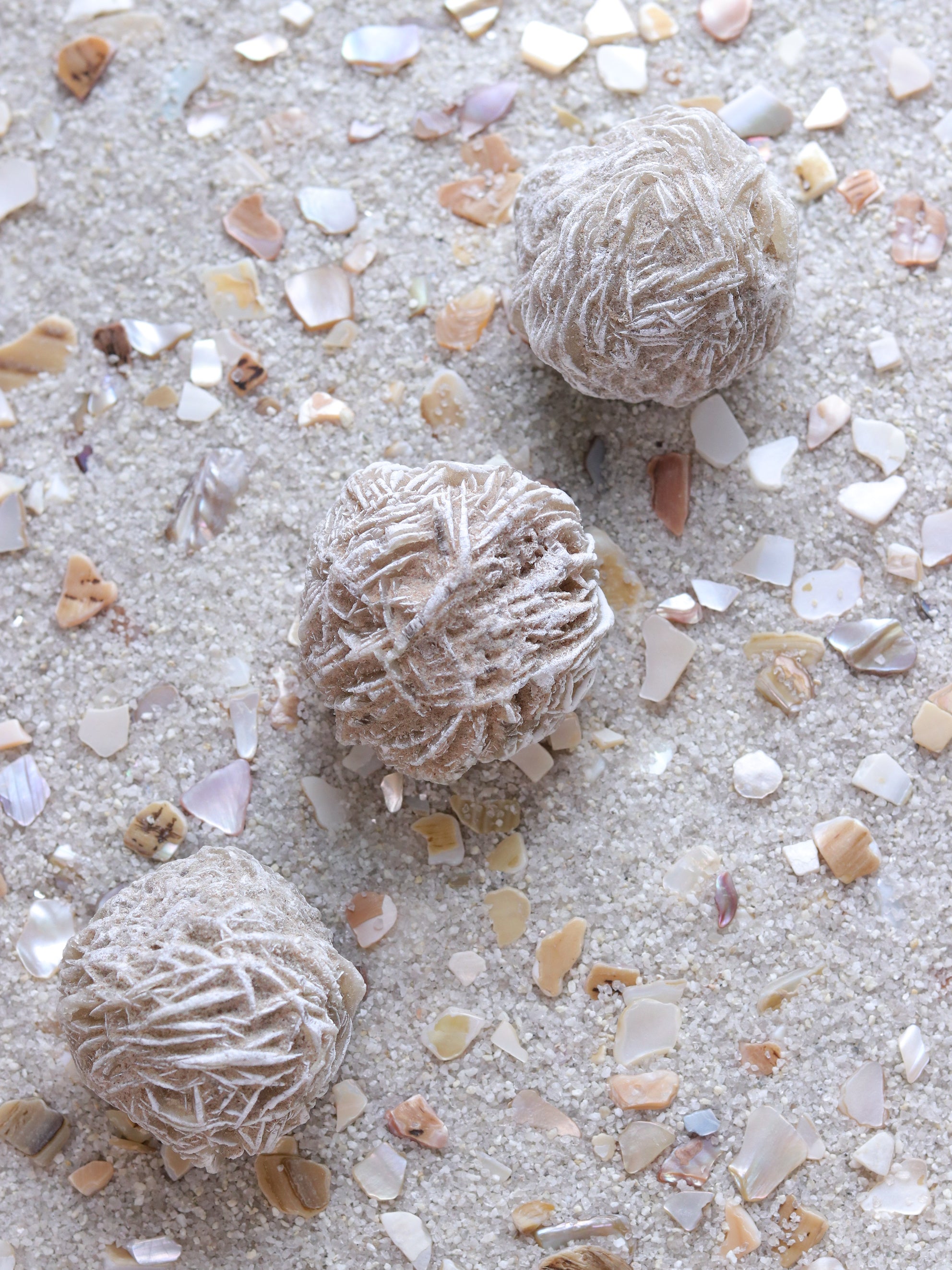 Desert Rose Selenite