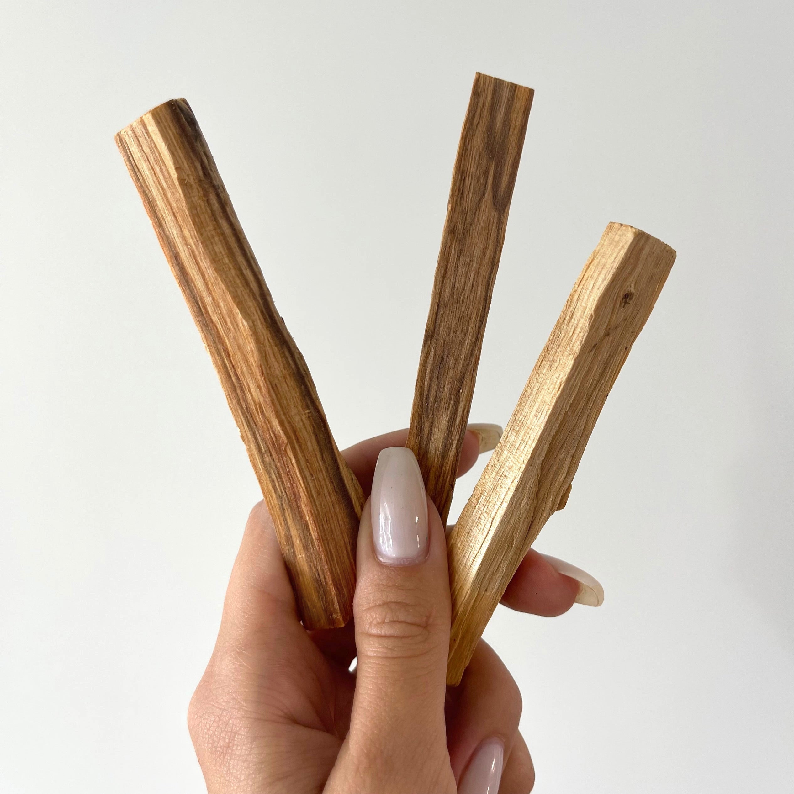 Palo Santo (3 Pack)