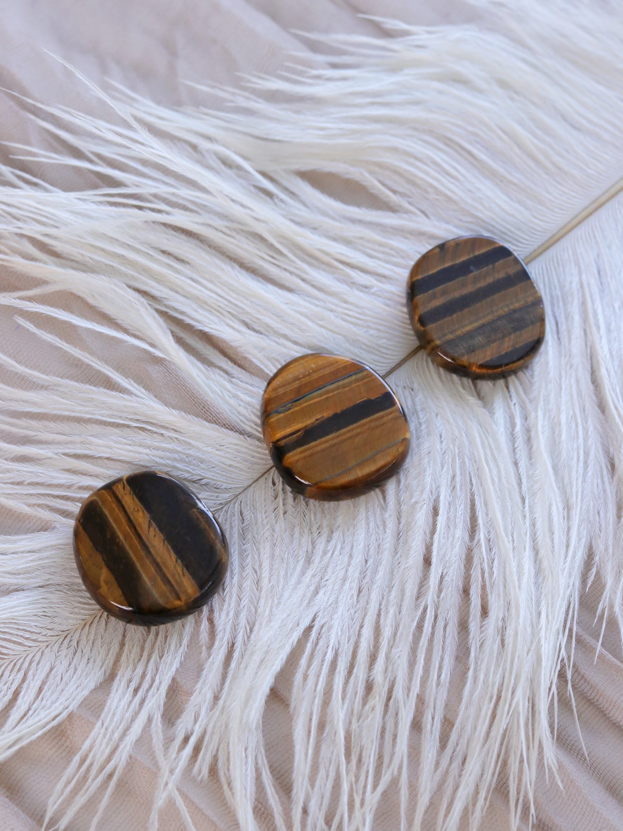 Tigers Eye Coin