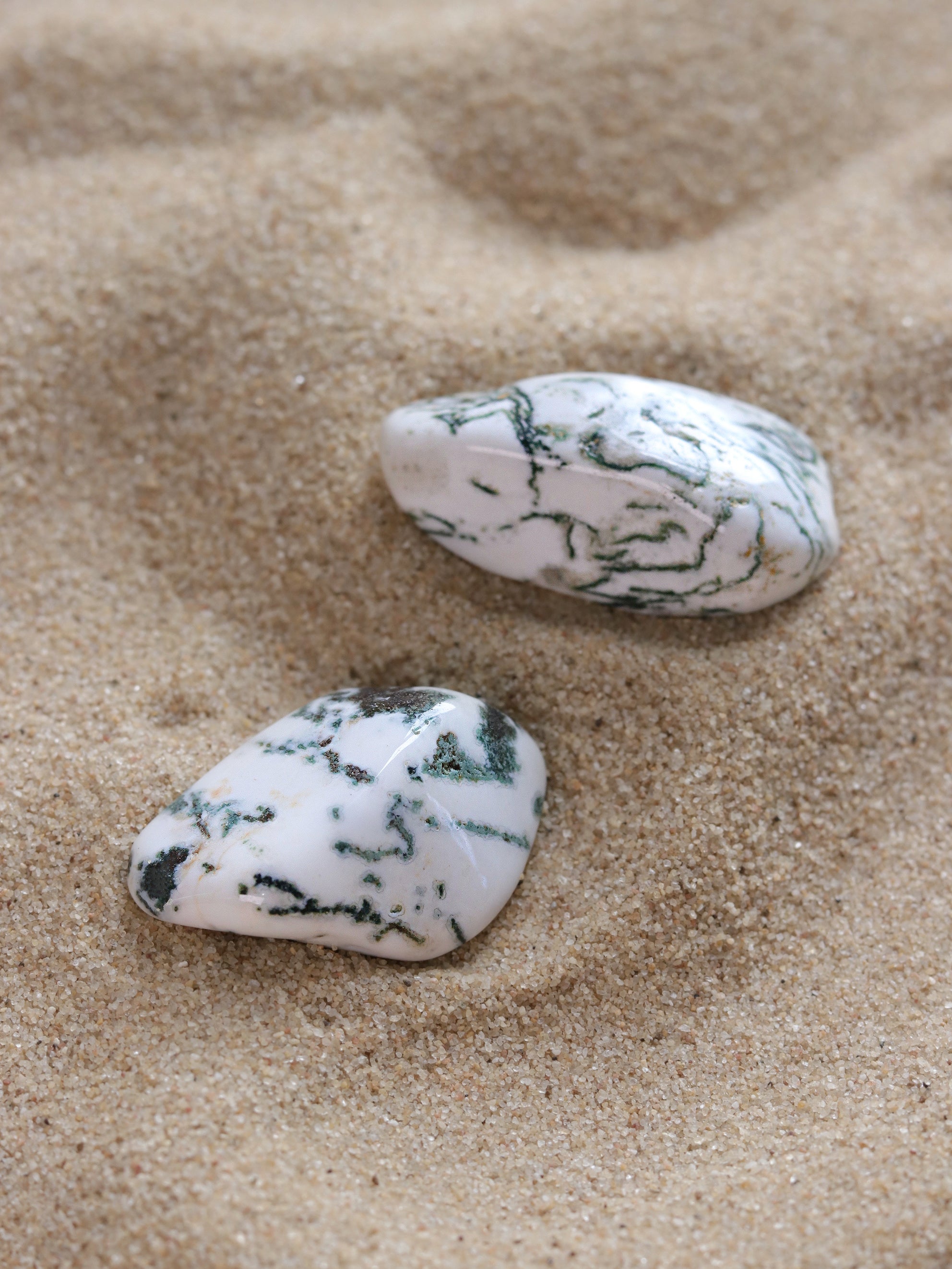 Tree Agate