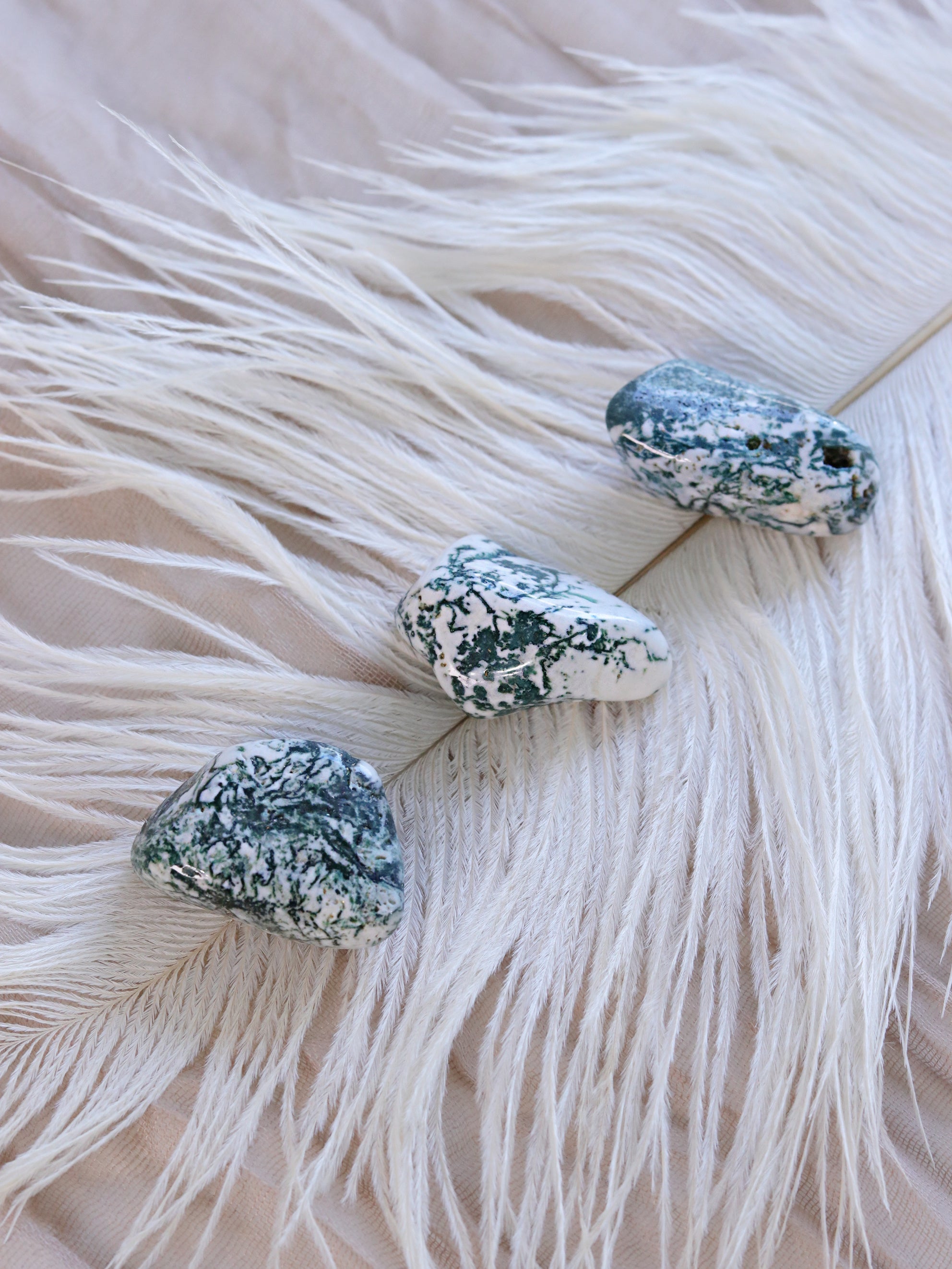 Tree Agate