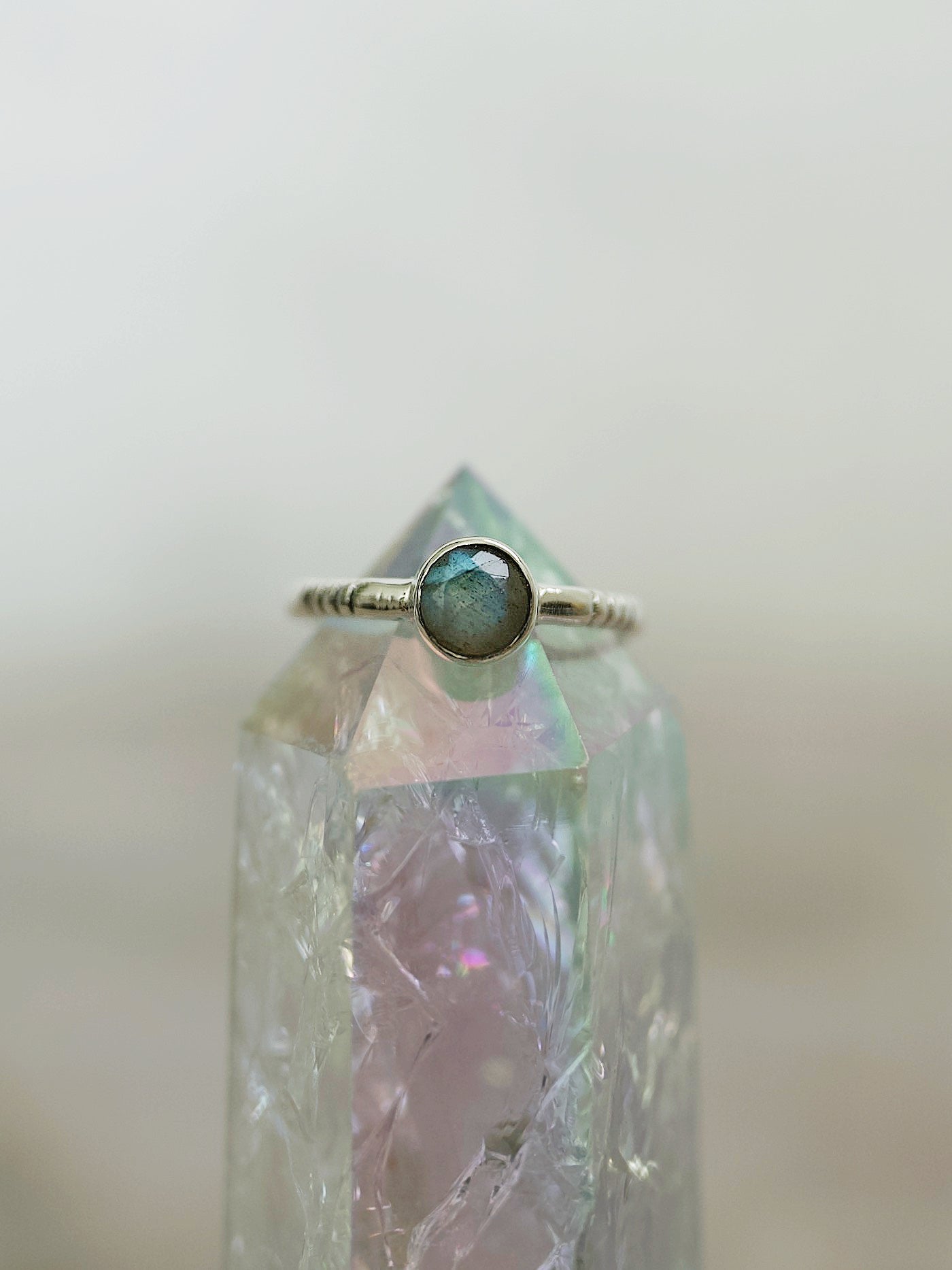 Signet Ring (Limited Edition)