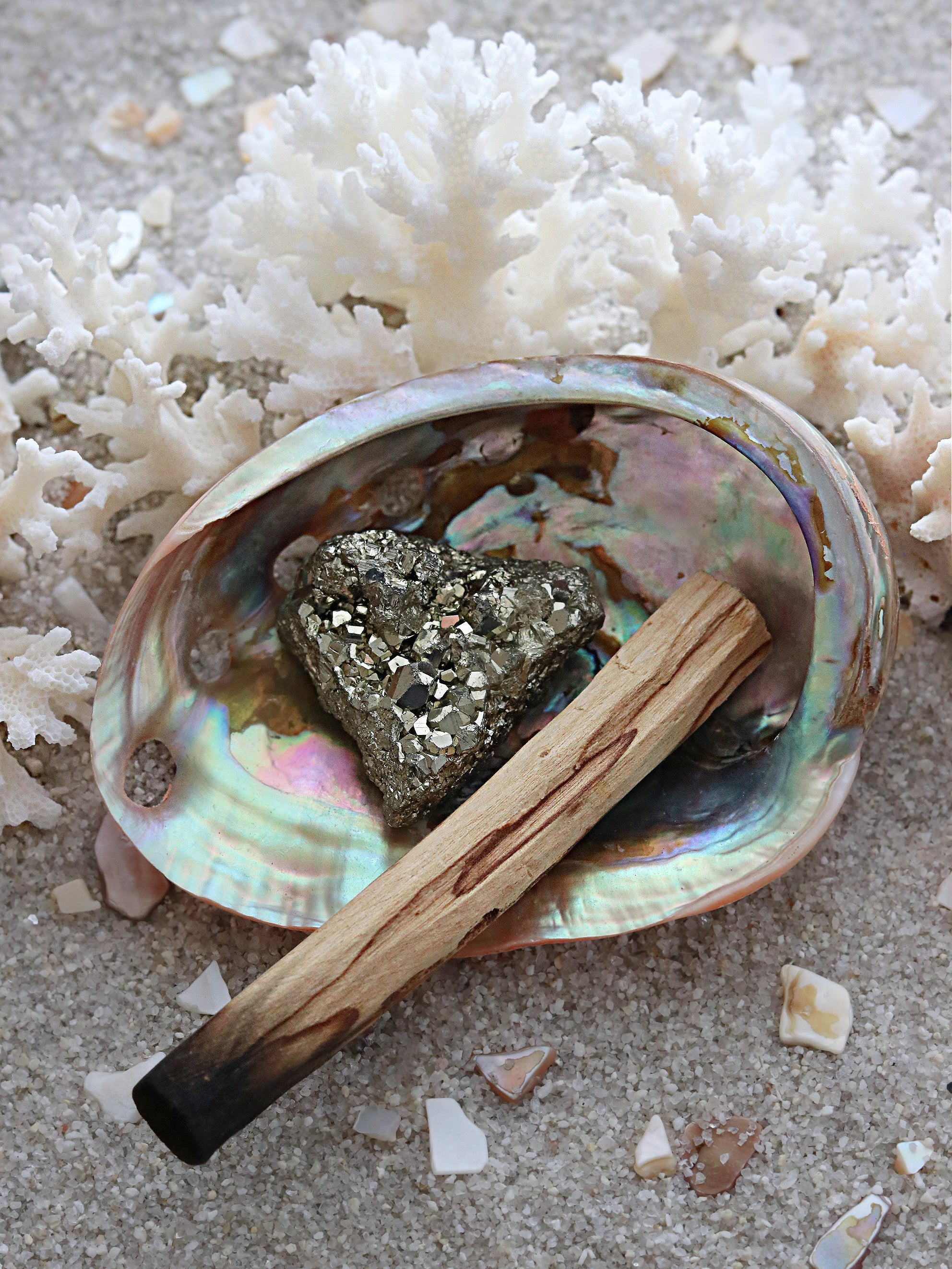 Red Polished Abalone Shell