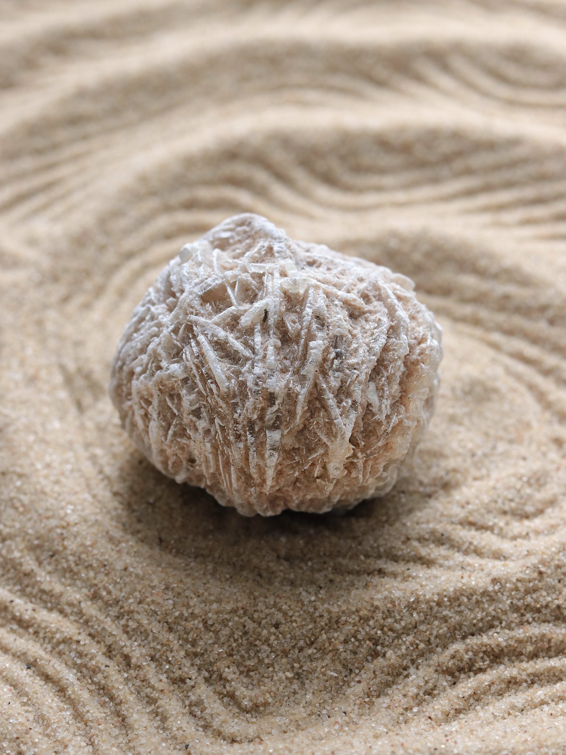 Desert Rose Selenite