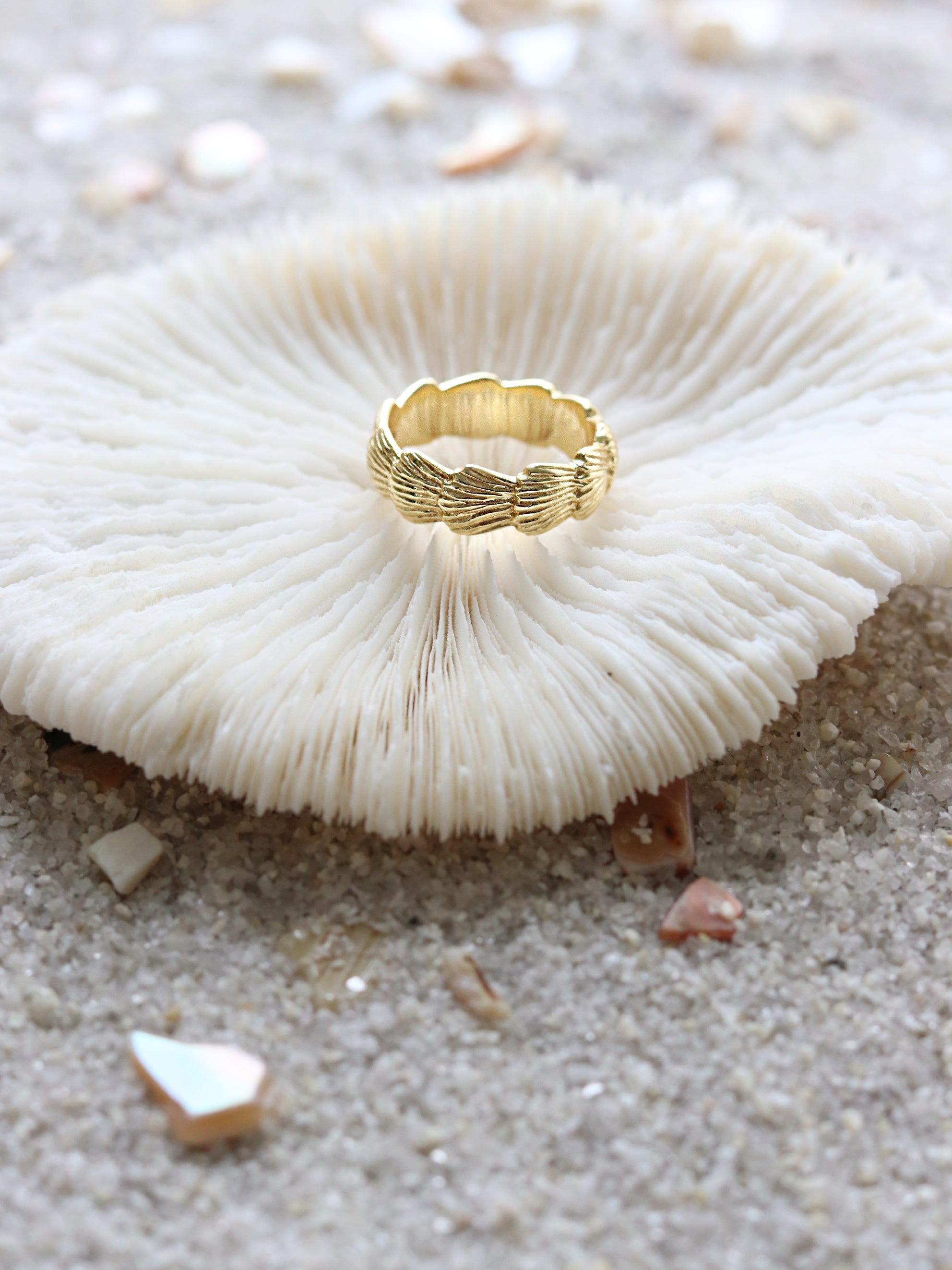 Divine Destiny Seashell Ring