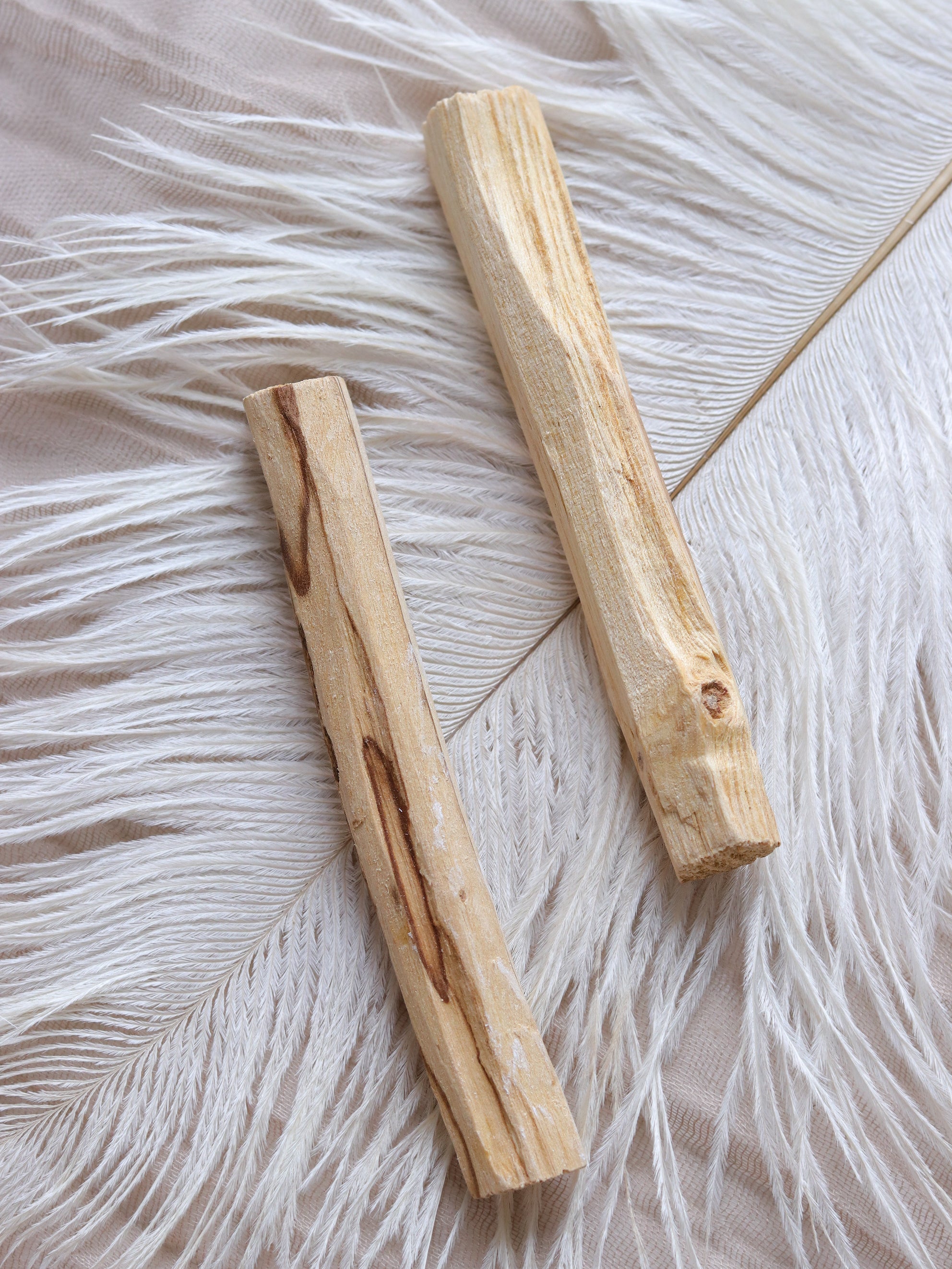Palo Santo (3 Pack)
