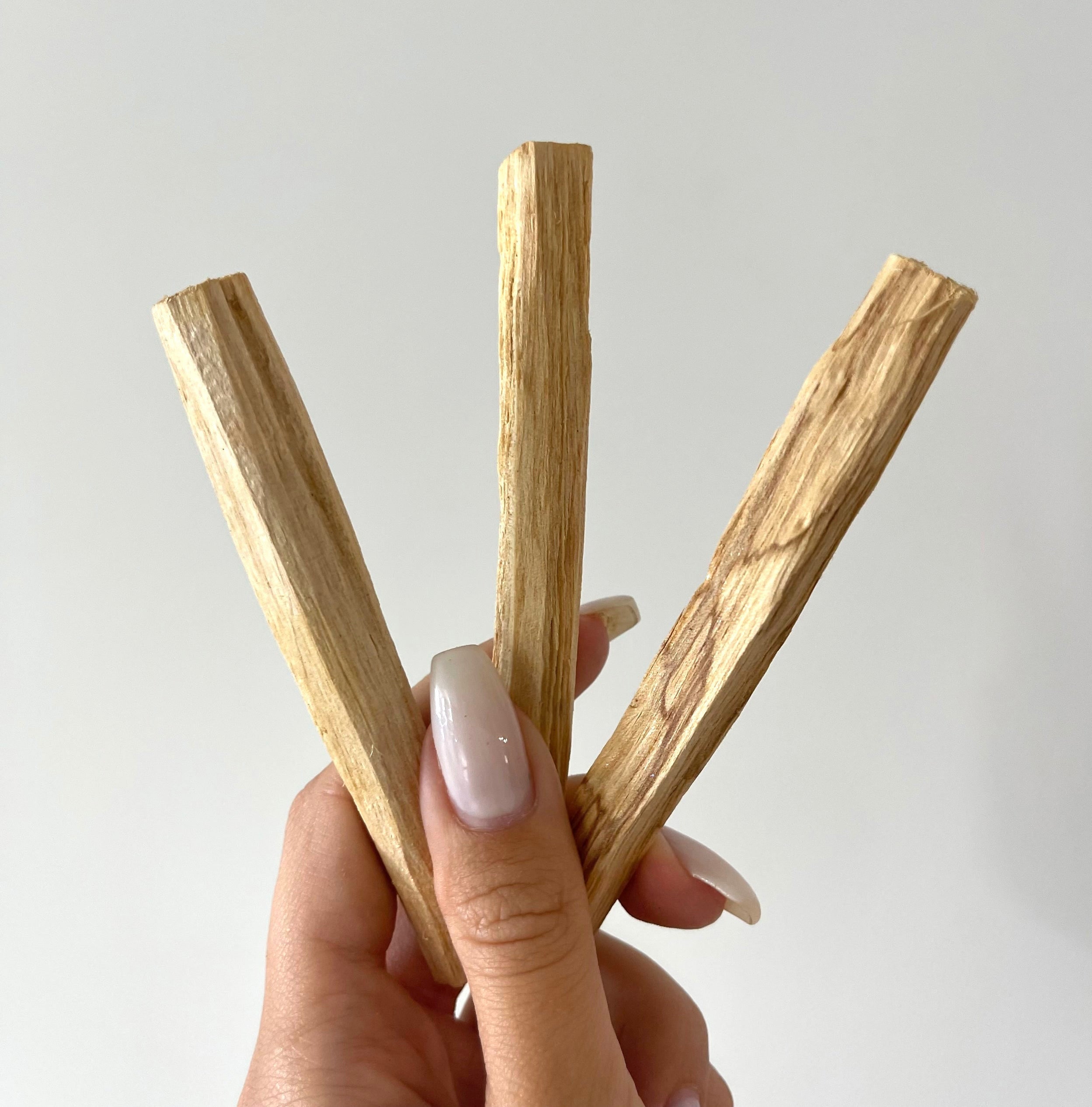 Palo Santo (3 Pack)