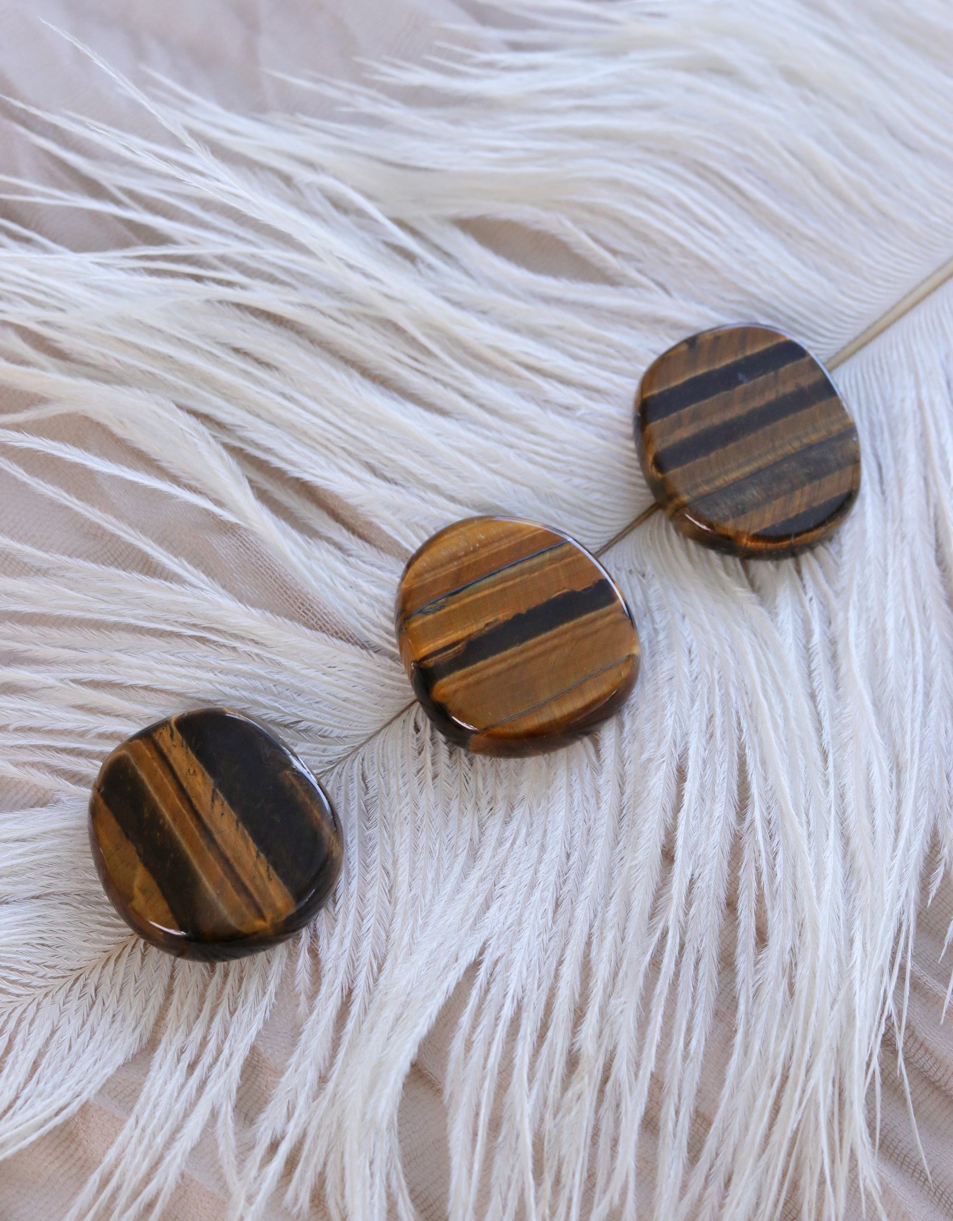 Tigers Eye Coin