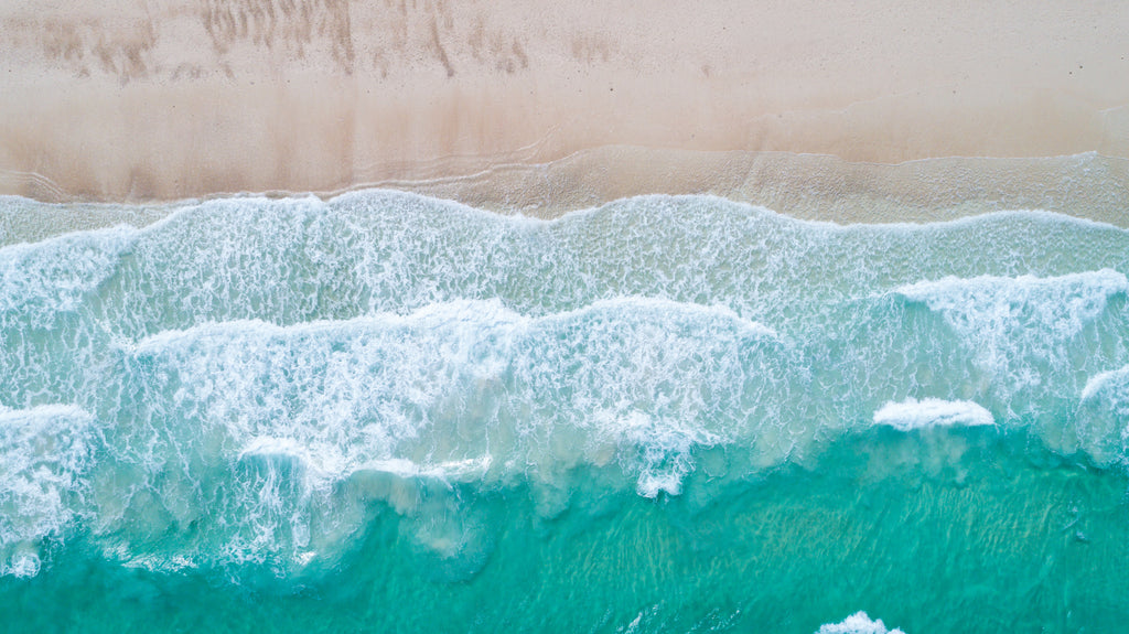 Cleaning The Ocean