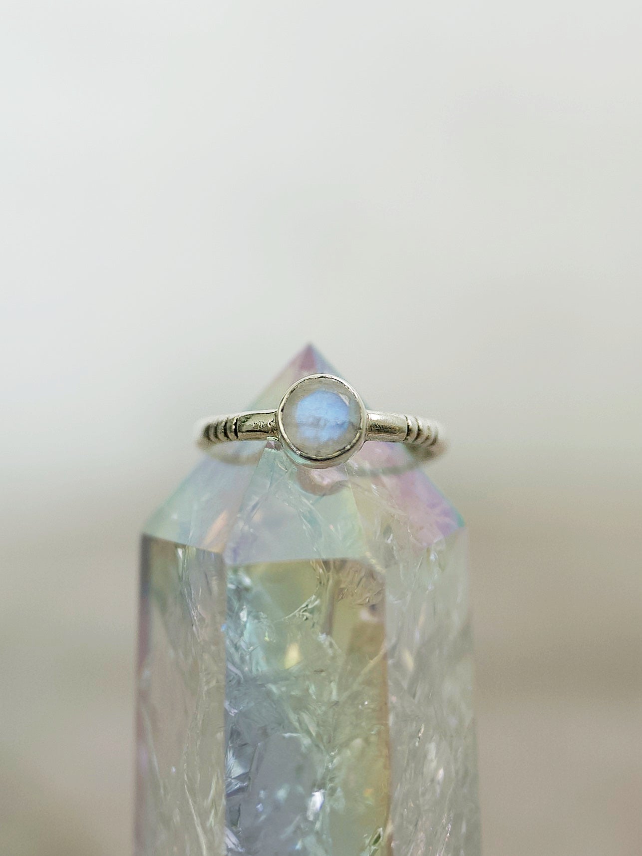 Signet Ring (Limited Edition)