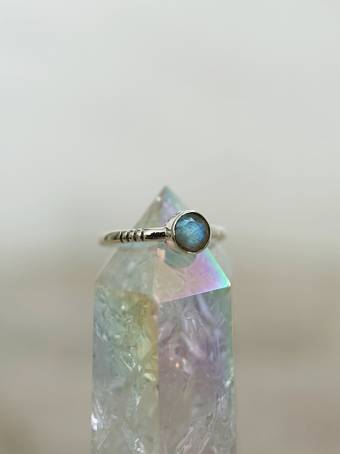 Signet Ring (Limited Edition)